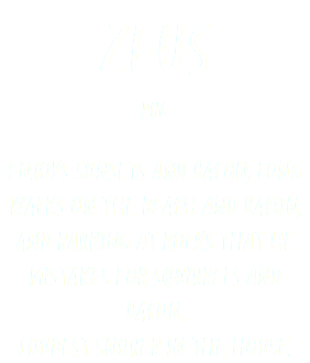 Zeus pug Enjoys sunsets and bacon, long walks on the beach and bacon, and barking at rocks that he mistakes for squirrels and bacon. Loudest snorer in the house.