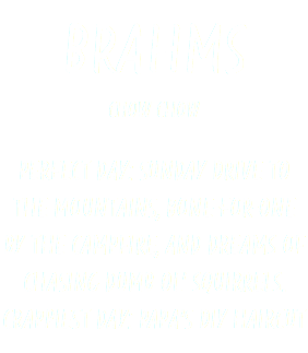 Brahms Chow Chow Perfect day: sunday drive to the mountains, bone-for-one by the campfire, and dreams of chasing dumb ol' squirrels. crappiest Day: Papa's diy Haircut 